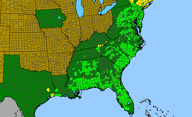 The range of Orontium aquaticum