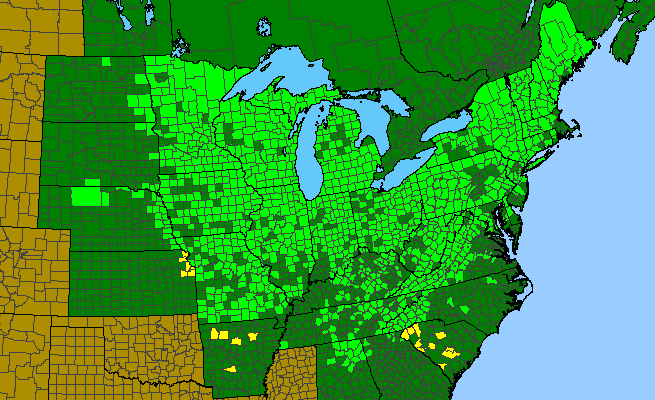 The range of Osmorhiza claytonii