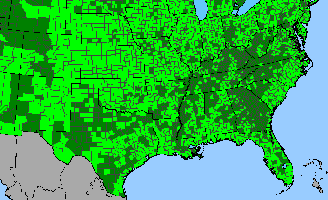 The range of Panicum virgatum