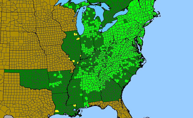 The range of Parathelypteris noveboracensis