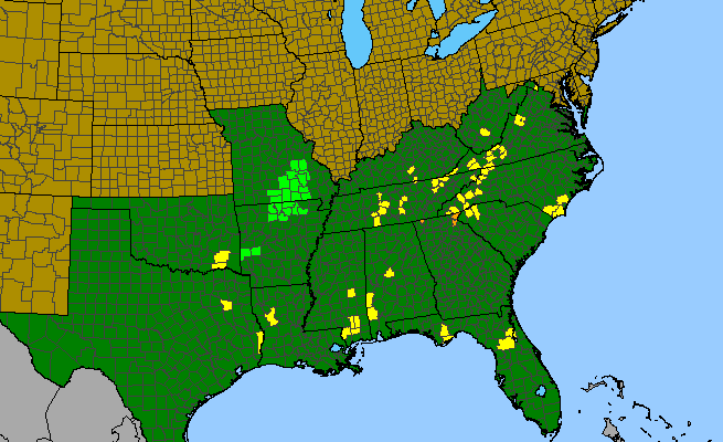 The range of Parnassia grandifolia