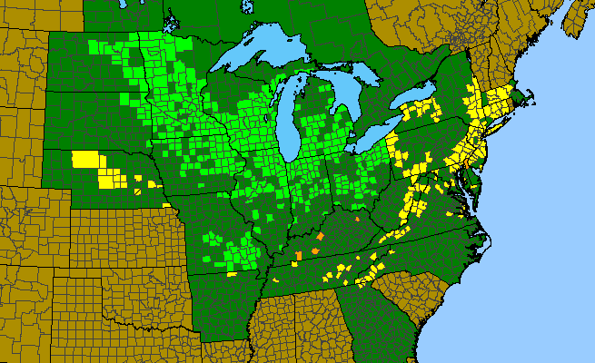 The range of Pedicularis lanceolata