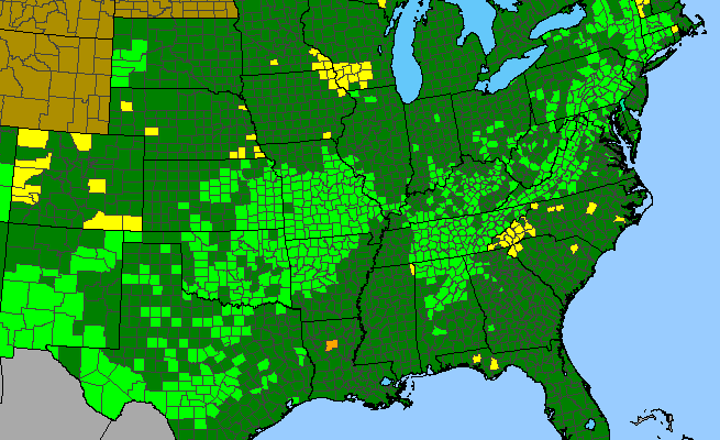 The range of Pellaea atropurpurea