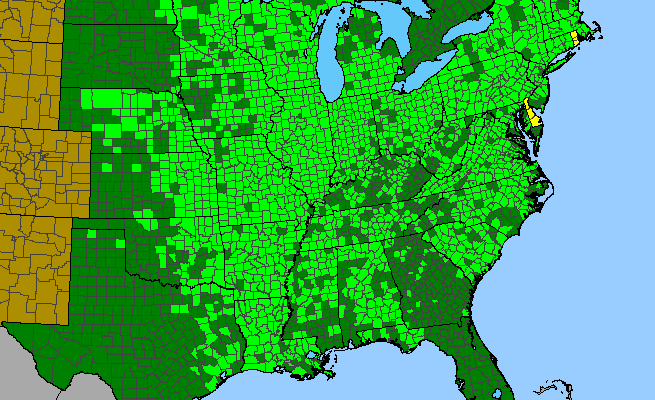 The range of Penthorum sedoides