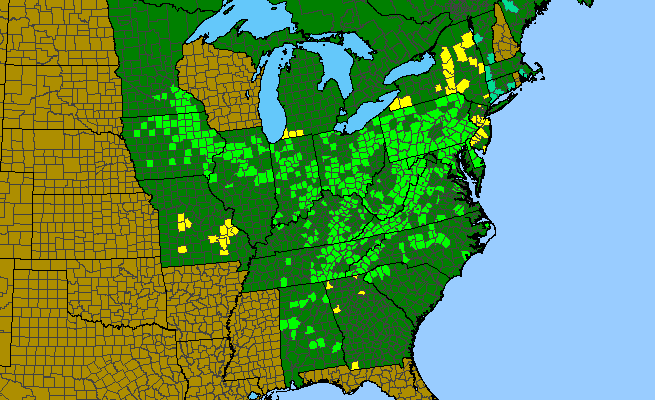 The range of Phlox maculata