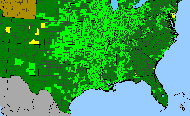 The range of Phyla lanceolata