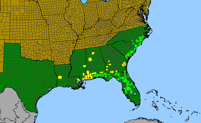 The range of Platanthera conspicua