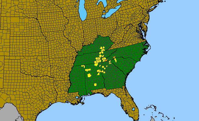 The range of Platanthera integrilabia