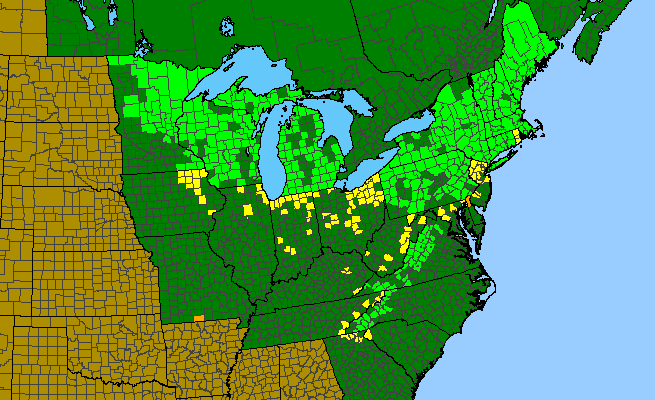 The range of Platanthera psycodes