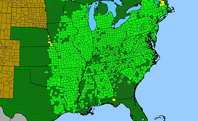 The range of Podophyllum peltatum
