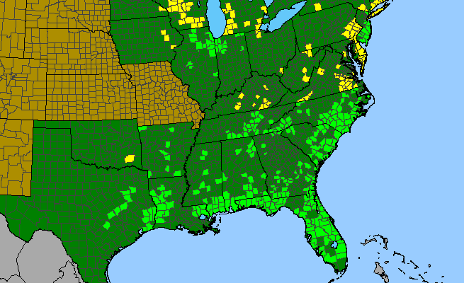 The range of Polygala cruciata