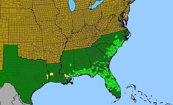 The range of Polygala cymosa