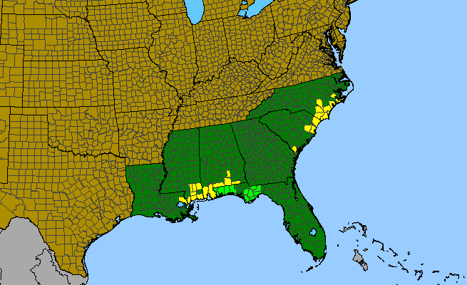 The range of Polygala hookeri