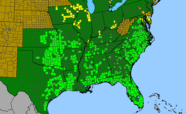 The range of Polygala incarnata