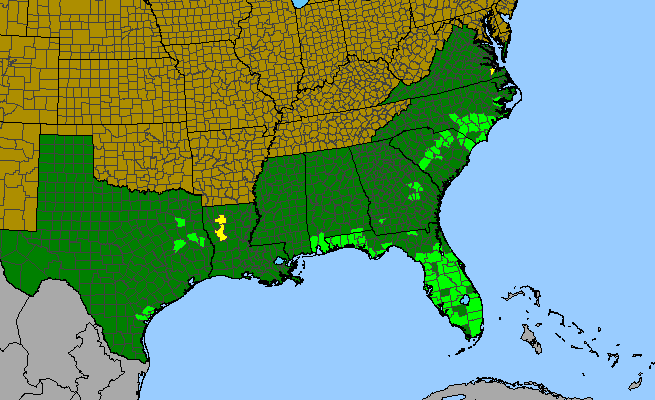 The range of Polygonum polygamum var. croomii