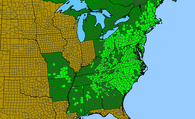 The range of Potentilla canadensis