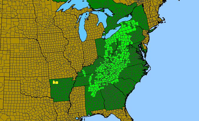 The range of Prosartes lanuginosa