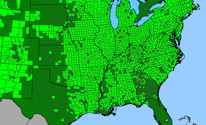 The range of Prunella vulgaris var. lanceolata