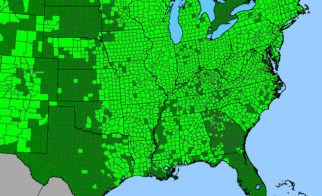 The range of Prunella vulgaris var. vulgaris