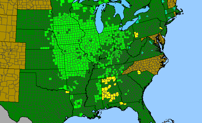 The range of Ratibida pinnata