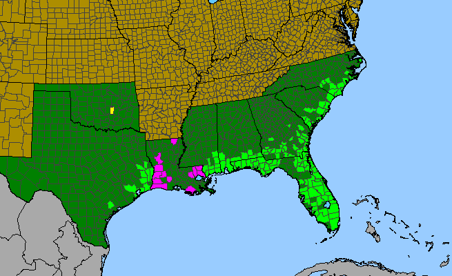 The range of Rhynchospora latifolia