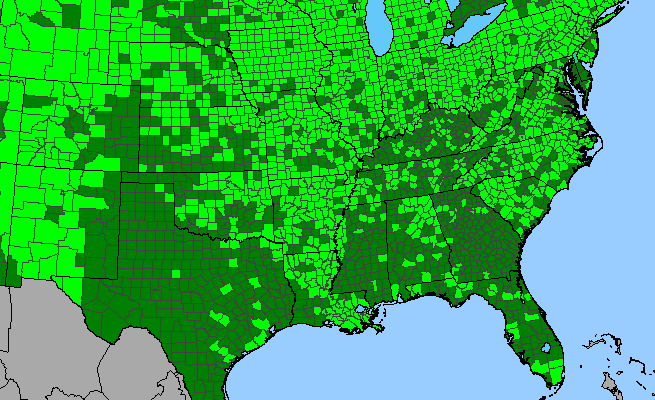 The range of Rorippa palustris