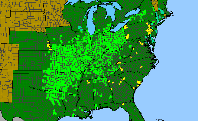 The range of Rosa setigera