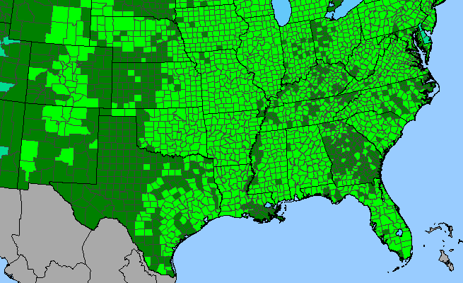 The range of Rudbeckia hirta