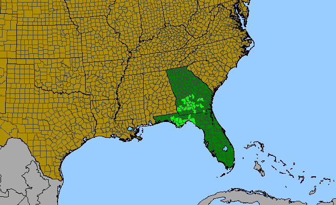 The range of Rudbeckia mohrii