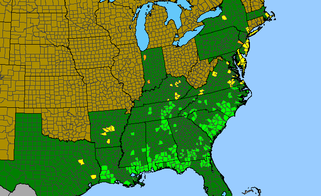 The range of Sabatia campanulata