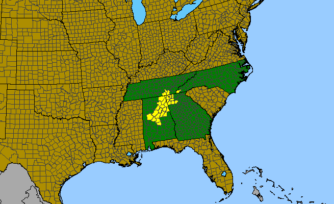 The range of Sabatia capitata