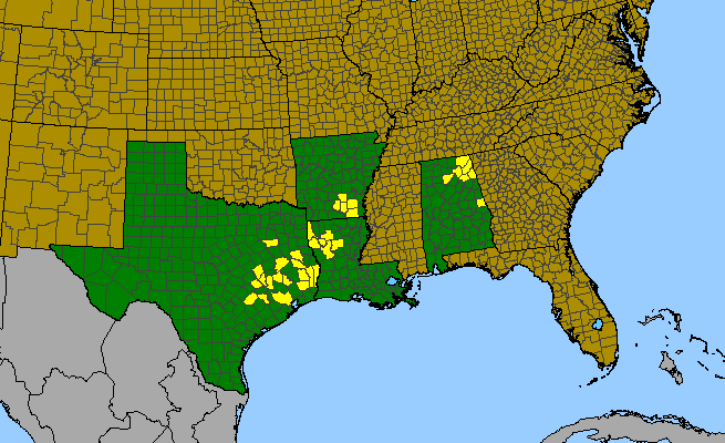 The range of Schoenolirion wrightii