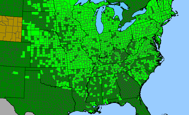 The range of Scutellaria lateriflora