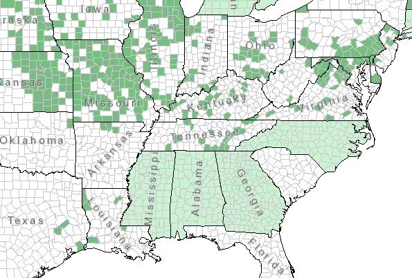 The range of Scutellaria leonardii