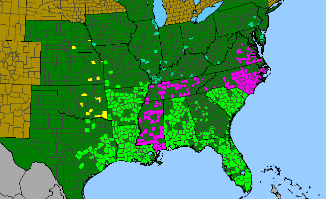 The range of Senna obtusifolia