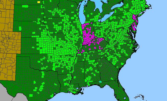 The range of Sicyos angulatus
