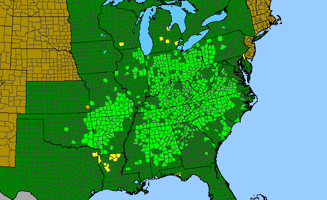 The range of Silene virginica