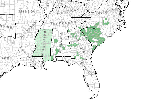The range of Silphium dentatum