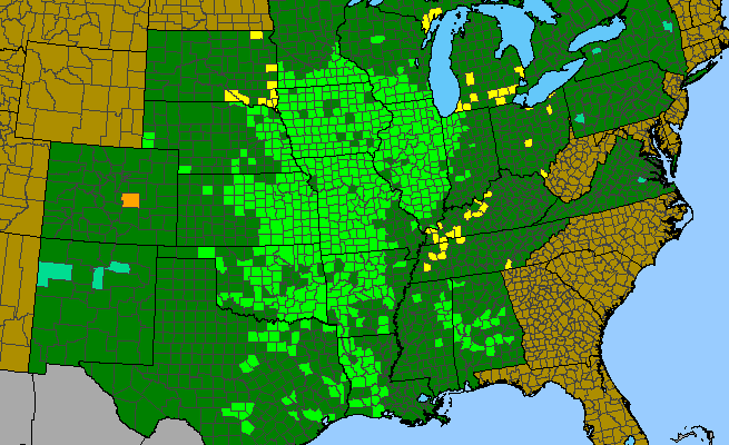 The range of Silphium laciniatum