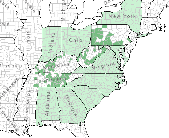 The range of Silphium trifoliatum