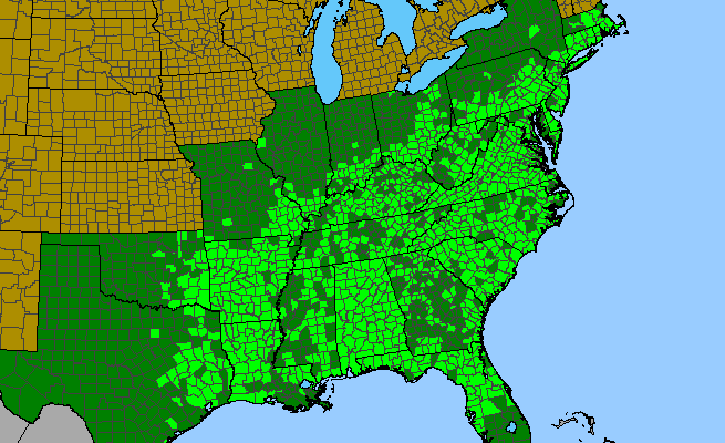 The range of Smilax glauca