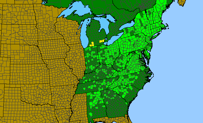 The range of Smilax herbacea
