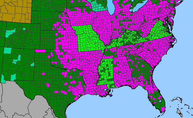 The range of Solanum carolinense