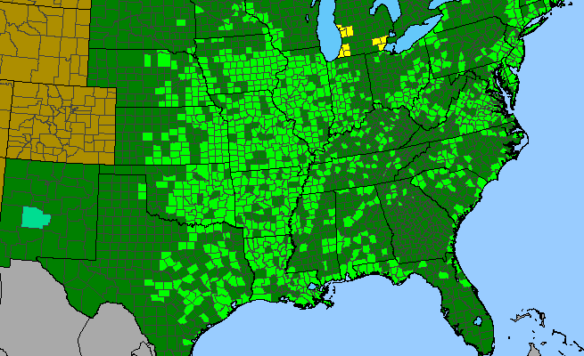 The range of Strophostyles helvola