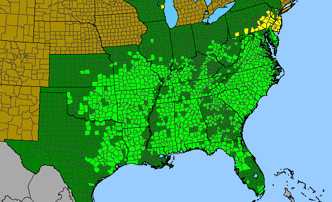 The range of Stylosanthes biflora