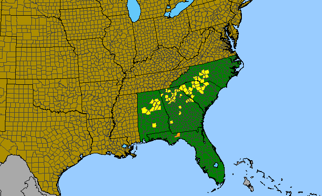 The range of Symphyotrichum georgianum