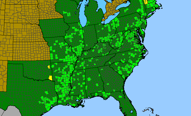 The range of Symphyotrichum racemosum