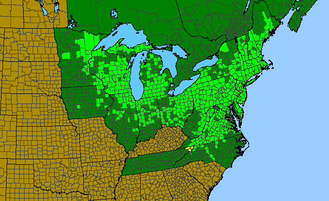 The range of Symplocarpus foetidus