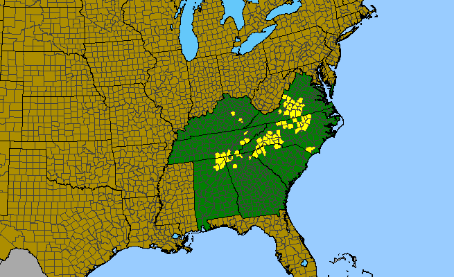 The range of Thermopsis mollis