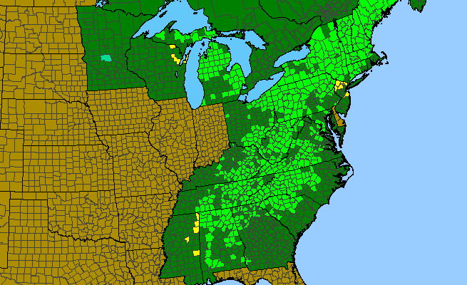 The range of Tiarella cordifolia